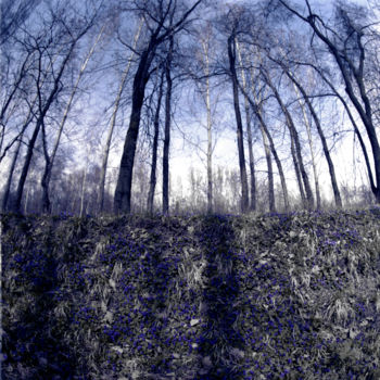 Photography titled "Blue Spring" by Tudor Gafton, Original Artwork, Analog photography