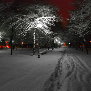 Photographie intitulée "Winter in the park 2" par Tudor Gafton, Œuvre d'art originale, Photographie numérique