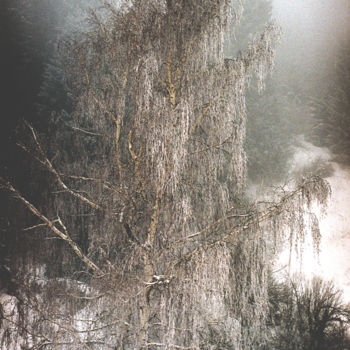 Fotografia intitulada "A foggy day 1" por Tudor Gafton, Obras de arte originais, Fotografia de filme