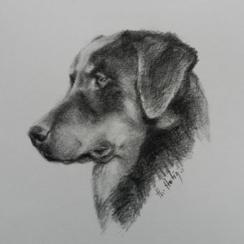 제목이 "beauceron-"인 그림 Th. Hutin로, 원작, 흑연