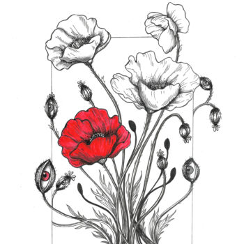 Drawing titled "Red Poppy" by Thaís Melo, Original Artwork, Ink