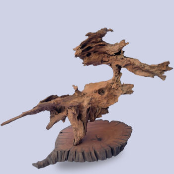 Skulptur mit dem Titel ""KUVEX: Nature's Wh…" von Thang Vu, Original-Kunstwerk, Holz