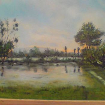Painting titled "Inondations dans la…" by Cedric Thenot, Original Artwork