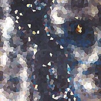 Arte digital titulada "claracristal" por Frederic Therisod, Obra de arte original