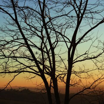Fotografie mit dem Titel "Sunset in the Viney…" von Thiemo Kastel (Mixed Reality Arts), Original-Kunstwerk, Digitale Fotogra…