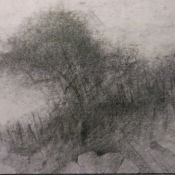 Drawing titled "Haie" by Thierry Carol Ratel, Original Artwork, Pencil