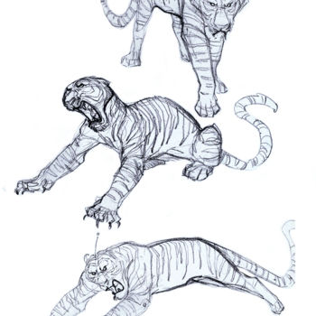 Dibujo titulada "tigre2" por Thierry Goulard, Obra de arte original, Fotografía digital