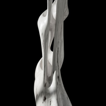 Фотография под названием "METISSE 9 - MOVEMEN…" - Thierry Ledé, Подлинное произведение искусства, Не манипулируемая фотограф…