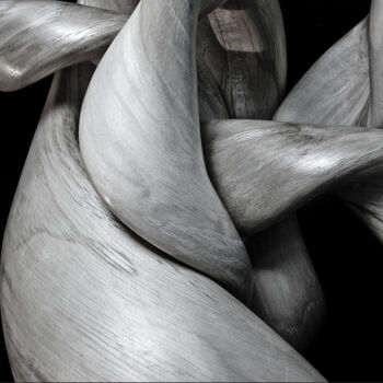Фотография под названием "KISSES WHITE - MOVE…" - Thierry Ledé, Подлинное произведение искусства, Не манипулируемая фотограф…