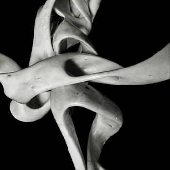 Photography titled "DARKINTHEDANCE" by Thierry Ledé, Original Artwork, Non Manipulated Photography