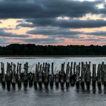 Fotografie getiteld "Perchoir à cormorans" door Thierry Magliulo (Th.Mag), Origineel Kunstwerk