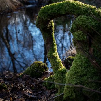 Photography titled "Marais-en-zone-natu…" by Thierry Magliulo (Th.Mag), Original Artwork