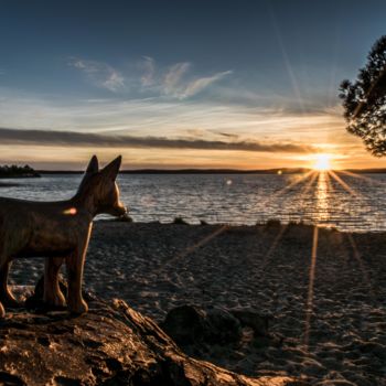 Fotografía titulada "Petit être de poési…" por Thierry Magliulo (Th.Mag), Obra de arte original