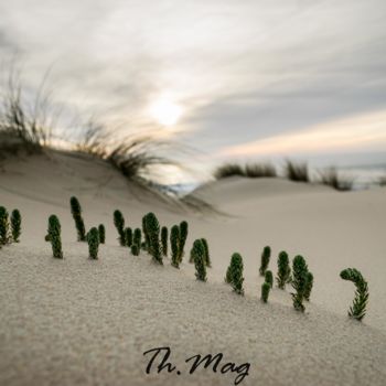 Photographie intitulée "Têtes hors du sable" par Thierry Magliulo (Th.Mag), Œuvre d'art originale, Photographie numérique