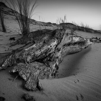 Fotografia zatytułowany „Matière et son curi…” autorstwa Thierry Magliulo (Th.Mag), Oryginalna praca, Fotografia cyfrowa