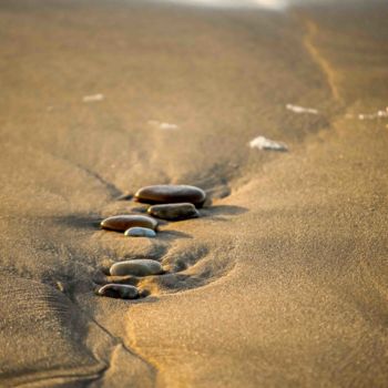 「Le Chemin...」というタイトルの写真撮影 Thierry Magliulo (Th.Mag)によって, オリジナルのアートワーク