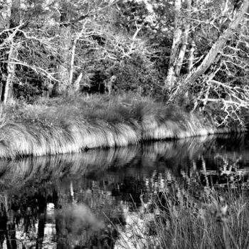 Photographie intitulée "Esprit-de-la-foret" par Thierry Magliulo (Th.Mag), Œuvre d'art originale