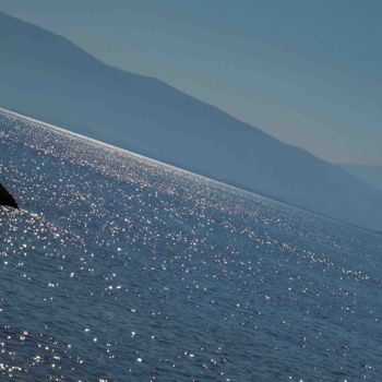 "Jonathan Livingston…" başlıklı Fotoğraf Thierry Magliulo (Th.Mag) tarafından, Orijinal sanat