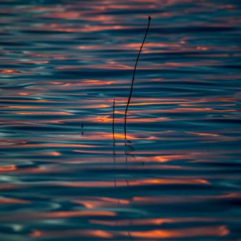 Fotografía titulada "L'eau-en-feu" por Thierry Magliulo (Th.Mag), Obra de arte original