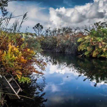 Fotografia zatytułowany „Les marais” autorstwa Thierry Magliulo (Th.Mag), Oryginalna praca