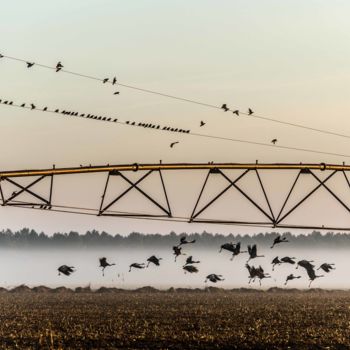 Photographie intitulée "Voyageuses..." par Thierry Magliulo (Th.Mag), Œuvre d'art originale