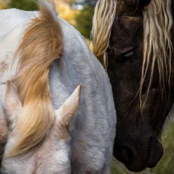 Photography titled "Tendresse..." by Thierry Magliulo (Th.Mag), Original Artwork