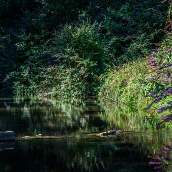 Photographie intitulée "Quiétude ..." par Thierry Magliulo (Th.Mag), Œuvre d'art originale