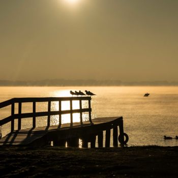 Fotografia zatytułowany „Tout un petit monde…” autorstwa Thierry Magliulo (Th.Mag), Oryginalna praca