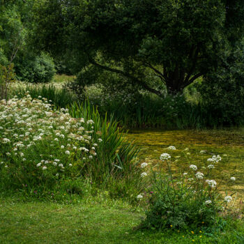 Photography titled "Carantec, le jardin…" by Thierry Martin, Original Artwork, Digital Photography