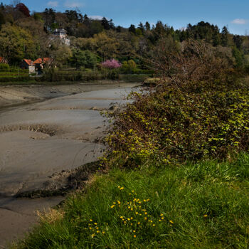 Photography titled "La rivière de Morla…" by Thierry Martin, Original Artwork, Digital Photography