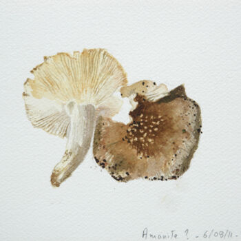 Painting titled "Champignon - Amanit…" by Thierry Priser, Original Artwork, Watercolor