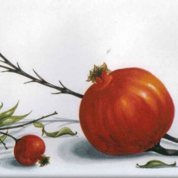 Painting titled "pomagranates 17" by Thomai Kontou, Original Artwork, Other