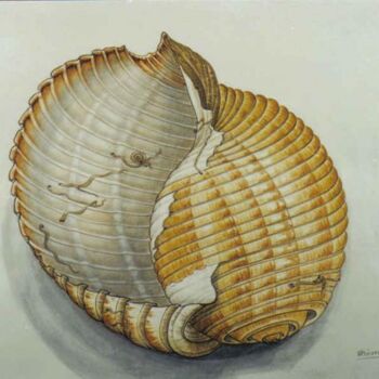 Pintura titulada "Agean SEA shell" por Thomai Kontou, Obra de arte original, Otro