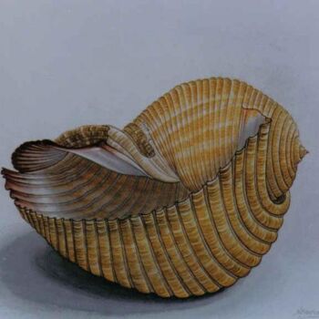 Painting titled "Agean SEA shell" by Thomai Kontou, Original Artwork, Other