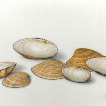 Ζωγραφική με τίτλο "with shells" από Thomai Kontou, Αυθεντικά έργα τέχνης, Άλλος