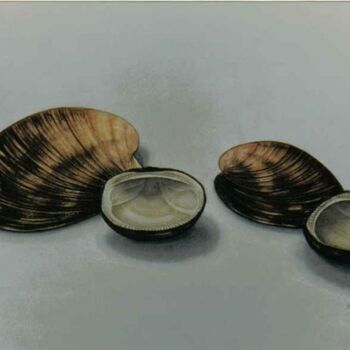 Картина под названием "with shells 2" - Thomai Kontou, Подлинное произведение искусства, Другой