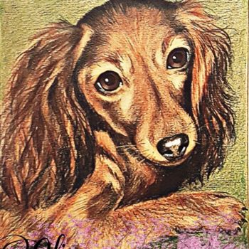 Drawing titled "Dog" by Oliver Pilato, Original Artwork