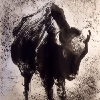 Desenho intitulada "Bison d'encre" por Thomas Rodet, Obras de arte originais, Tinta