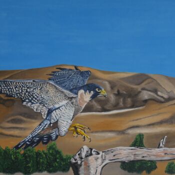 Malarstwo zatytułowany „Falcon” autorstwa Thomas Svoboda, Oryginalna praca, Olej