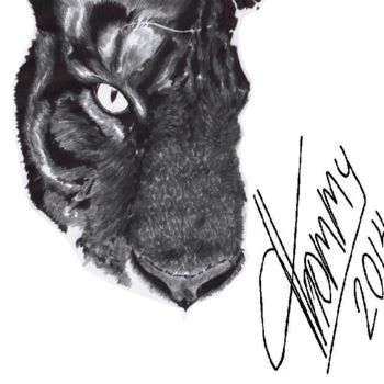 Drawing titled "Tigre gris" by Thommy, Original Artwork, Graphite