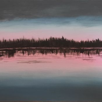 Pintura intitulada "Reflexão no Lago" por Tiago Mineiro, Obras de arte originais, Acrílico