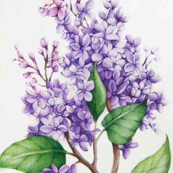 Painting titled "Lilac" by Tanya Azarchik, Original Artwork, Watercolor