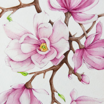 Painting titled "Magnolia" by Tanya Azarchik, Original Artwork, Watercolor