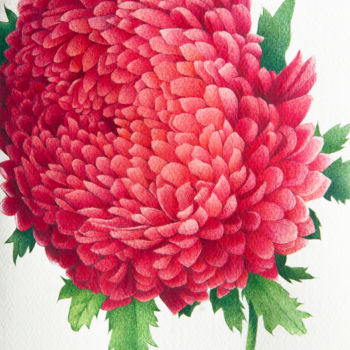 Картина под названием "Chrysanthemum" - Tanya Azarchik, Подлинное произведение искусства, Акварель