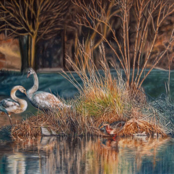 Pittura intitolato "Swan Couple on a Is…" da Tibor Horvath, Opera d'arte originale, Olio