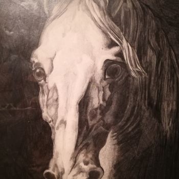 Dessin intitulée "Tête de cheval" par Tibor Valetti, Œuvre d'art originale, Graphite