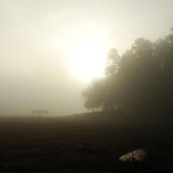 Fotografie mit dem Titel "Misty Morning" von Tony Taylor, Original-Kunstwerk