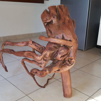 Skulptur mit dem Titel "Bois flotté" von Timothe Cibilleau, Original-Kunstwerk, Holz