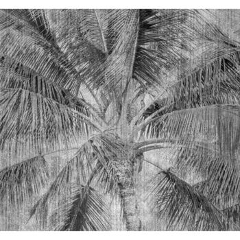 摄影 标题为“Tropical Palm in B&W” 由Tim Klein, 原创艺术品, 数码摄影
