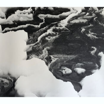 Εκτυπώσεις & Χαρακτικά με τίτλο "Ducks on the River…" από Timo Milke, Αυθεντικά έργα τέχνης, Screenprinting